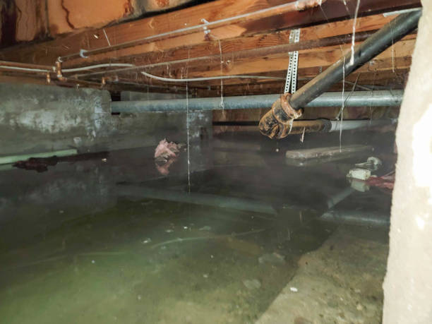 Best Sewage cleanup and water damage restoration  in Harbor Hills, OH