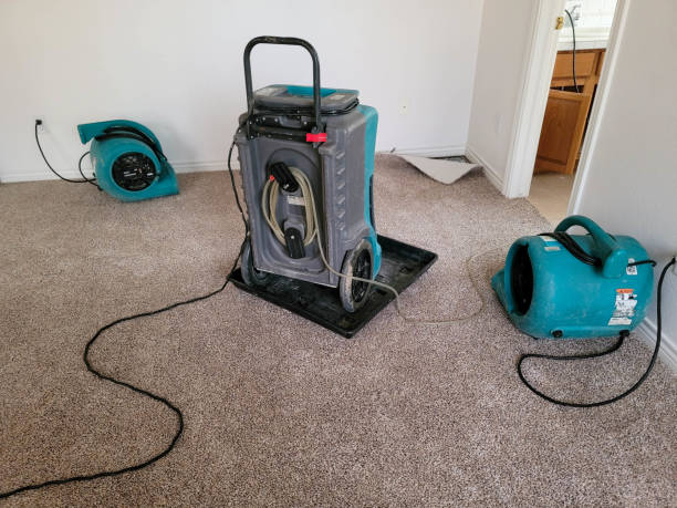 Best Commercial water damage restoration  in Harbor Hills, OH