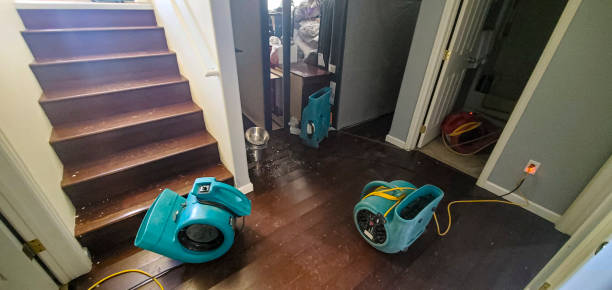 Best Water damage restoration near me  in Harbor Hills, OH