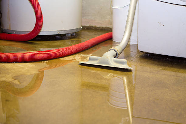 Best Ceiling water damage repair  in Harbor Hills, OH