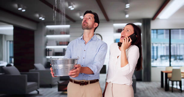  Harbor Hills, OH Water damage restoration Pros